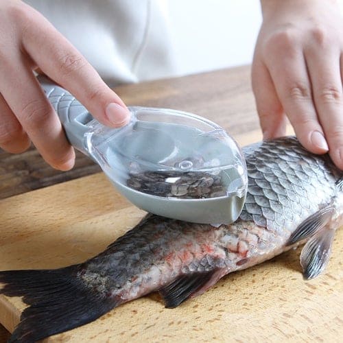 removedor de escama de peixe, tirar escama de peixe, remover escama de peixe, removedor de escama para peixe, como tirar escama de peixe
