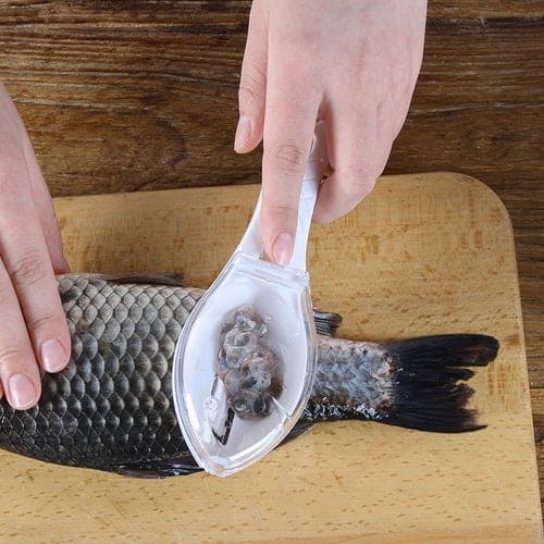 removedor de escama de peixe, tirar escama de peixe, remover escama de peixe, removedor de escama para peixe, como tirar escama de peixe